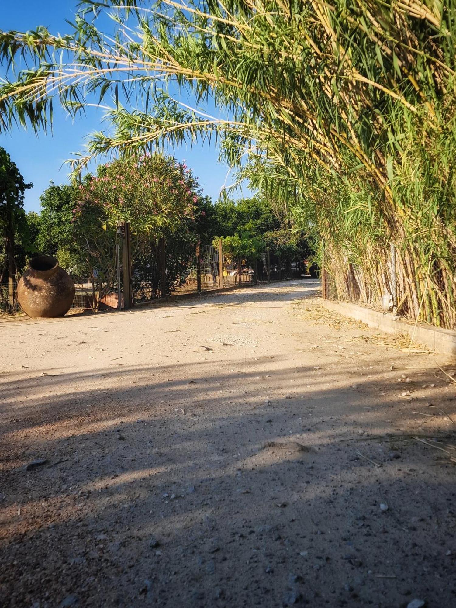 Quinta Da Ponte Das Hortas 1 Elvas Ngoại thất bức ảnh